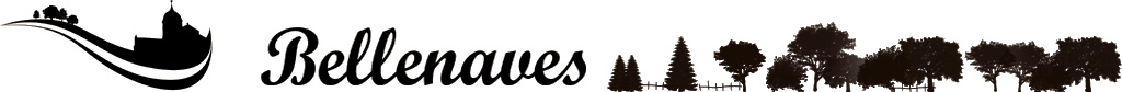bellenaves logo